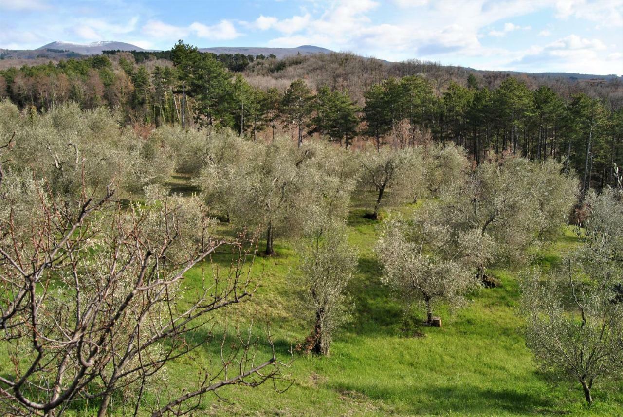 Casa Fioranna Villa Seggiano Eksteriør bilde